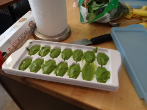 Spinach & Bananas ready for freezing